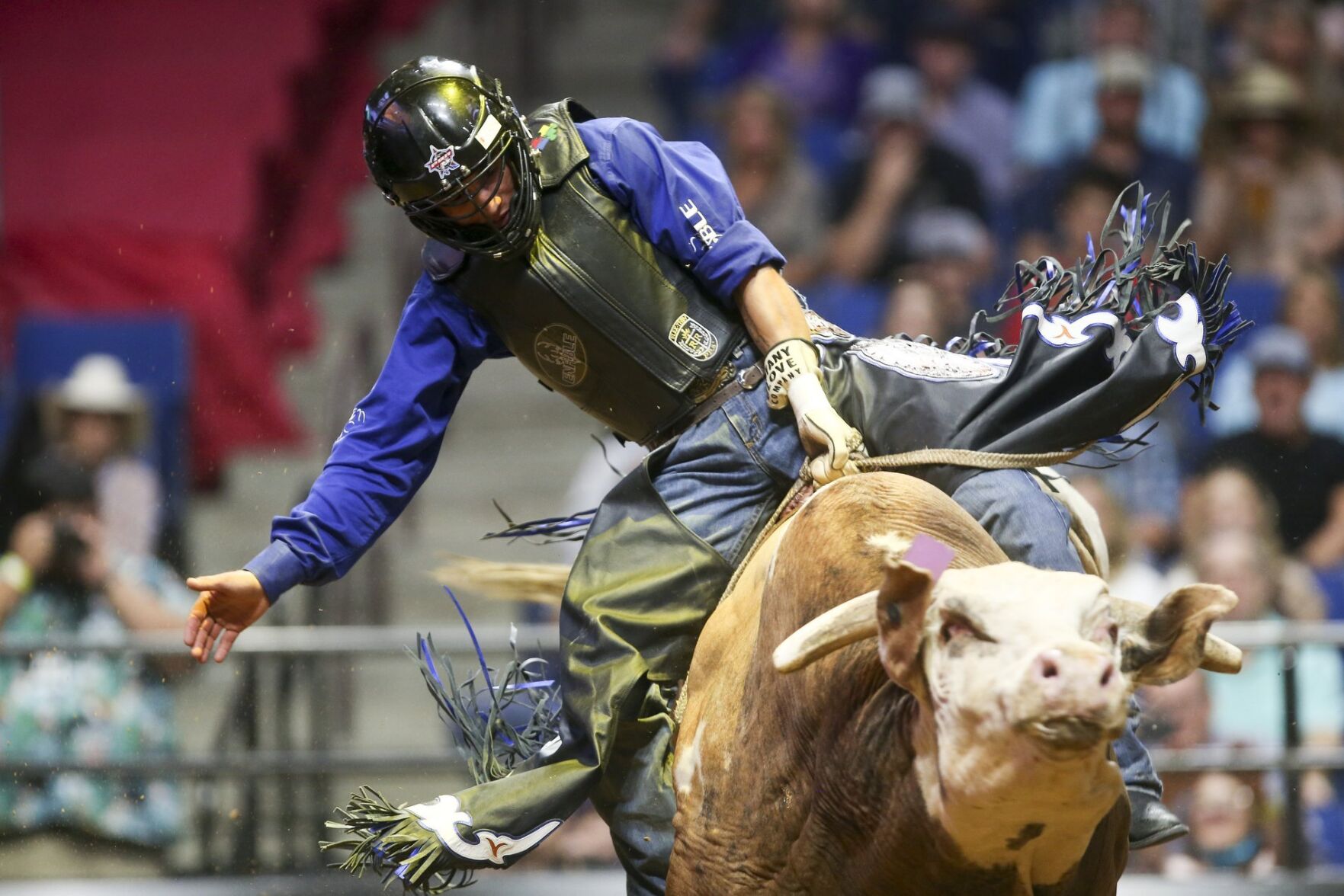 PBR Unleash The Beast